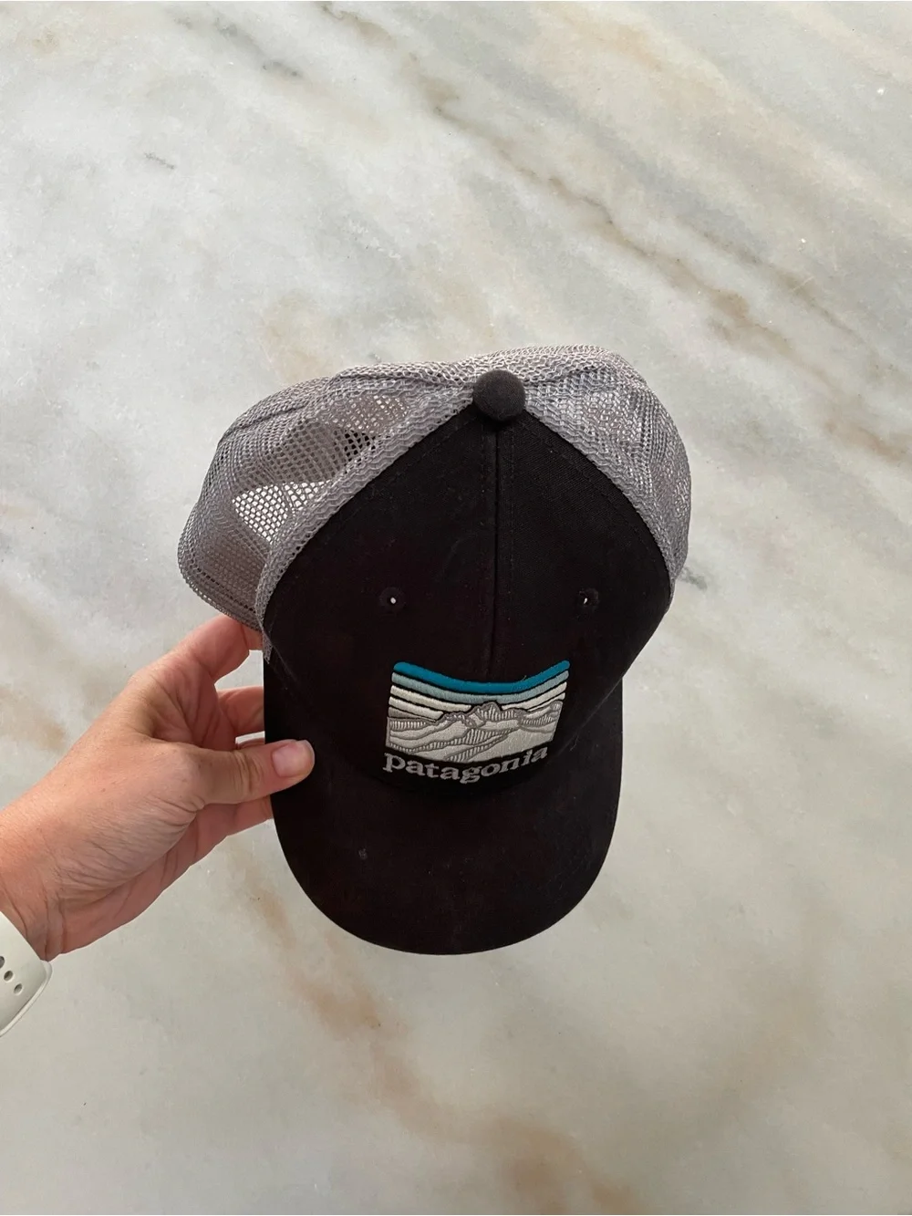 Patagonia Black and Gray Trucker Hat with Teal Accent